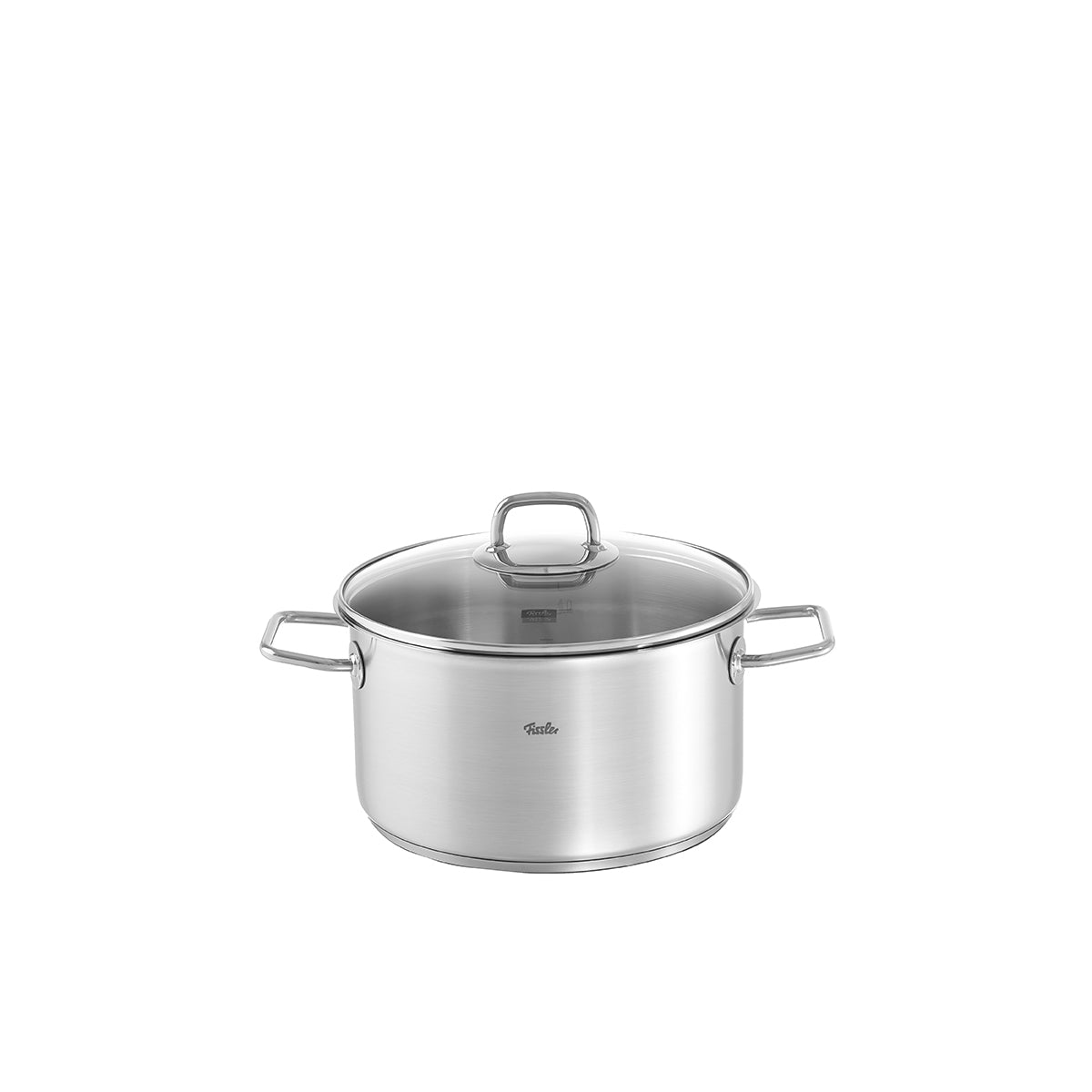 Fissler Viseo® stainless steel pot with glass lid and side handles, suitable for induction. Modern, durable design on a white background.